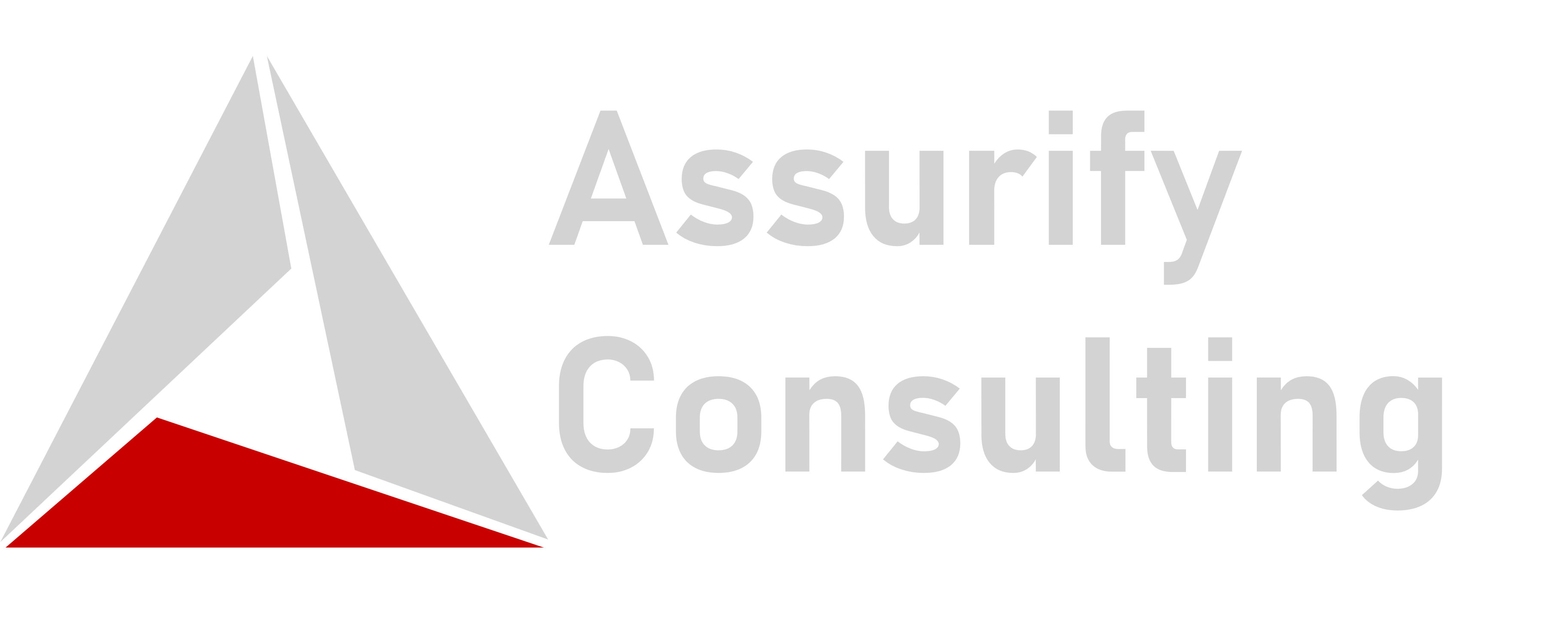 Assurify Logo reverse